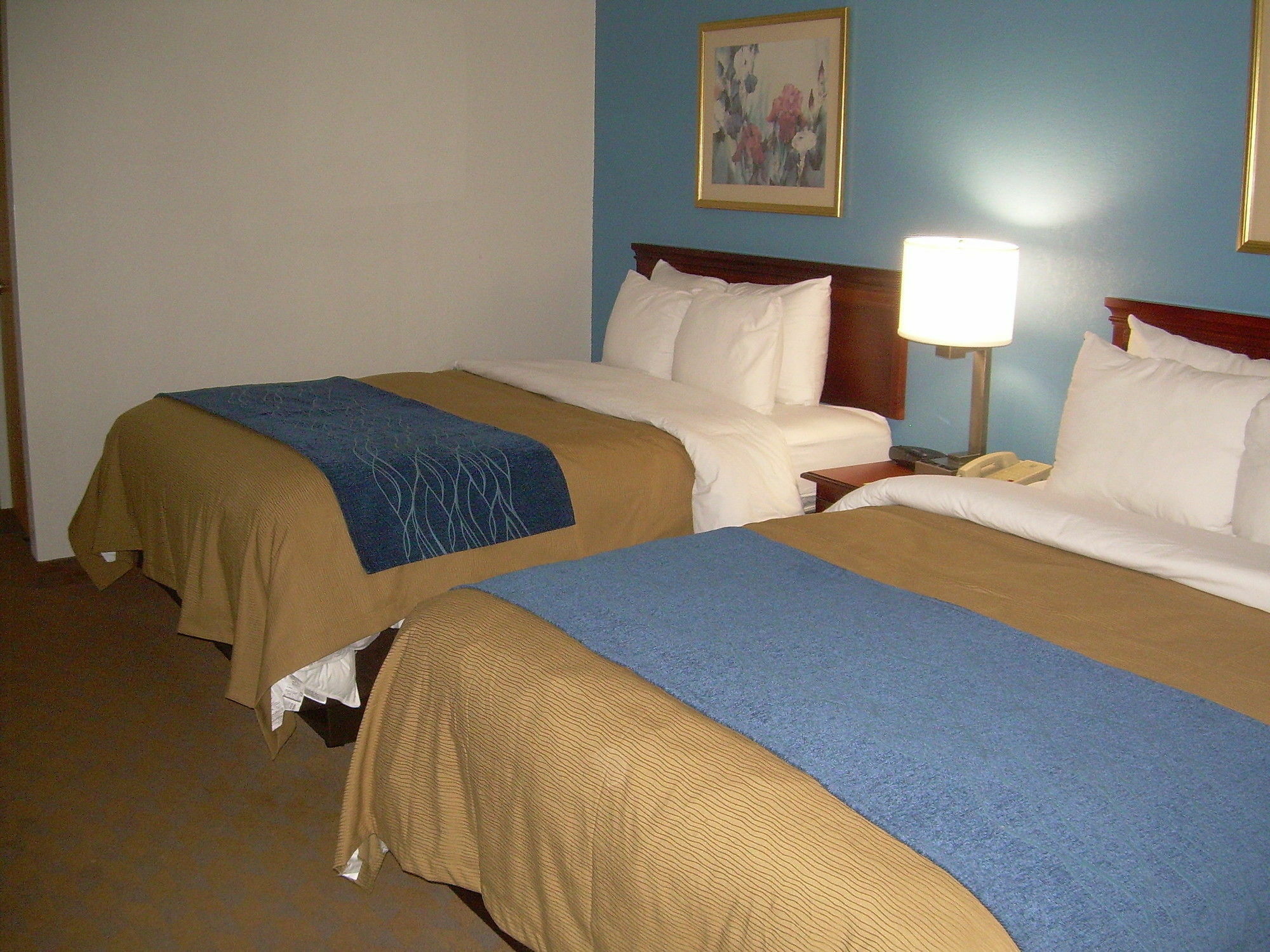 Comfort Inn & Suites Lees Summit - Kansas City Buitenkant foto